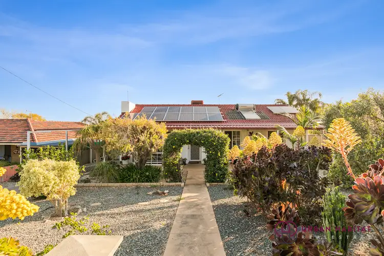 Main view of Homely house listing, 41 Orelia Avenue, Orelia WA 6167