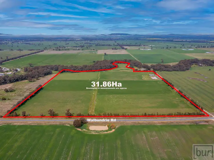 Main view of Homely rural property listing, 679 Walbundrie Road, Culcairn NSW 2660