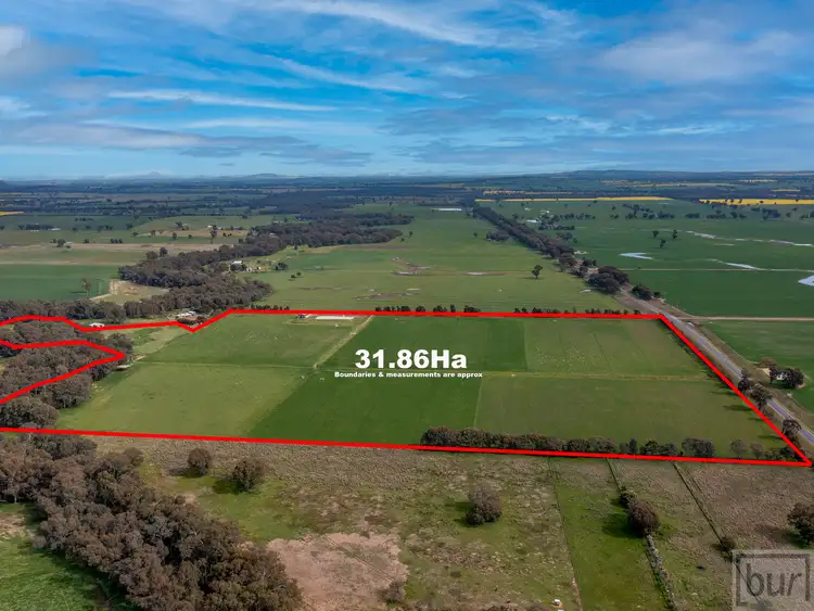 Second view of Homely rural property listing, 679 Walbundrie Road, Culcairn NSW 2660