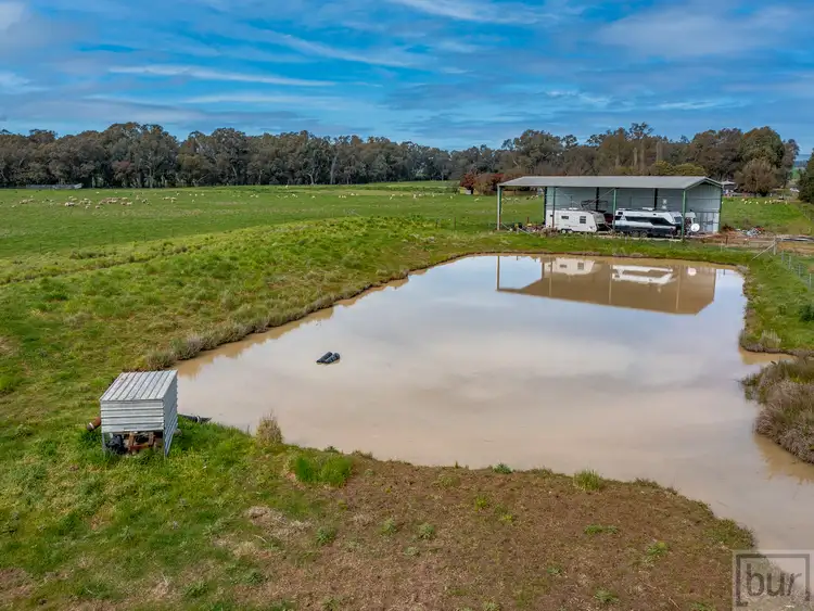 Sixth view of Homely rural property listing, 679 Walbundrie Road, Culcairn NSW 2660