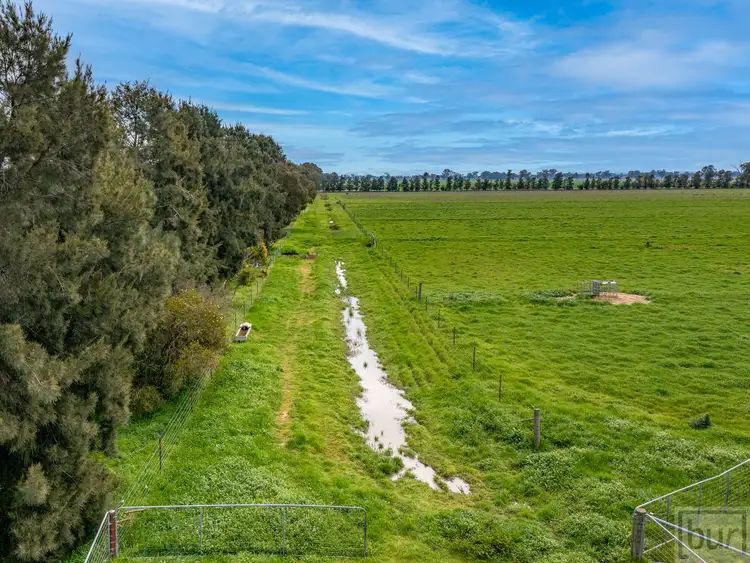 Seventh view of Homely rural property listing, 679 Walbundrie Road, Culcairn NSW 2660