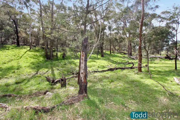 Second view of Homely rural property listing, 330 Paddys Dam Road, Tooborac VIC 3522