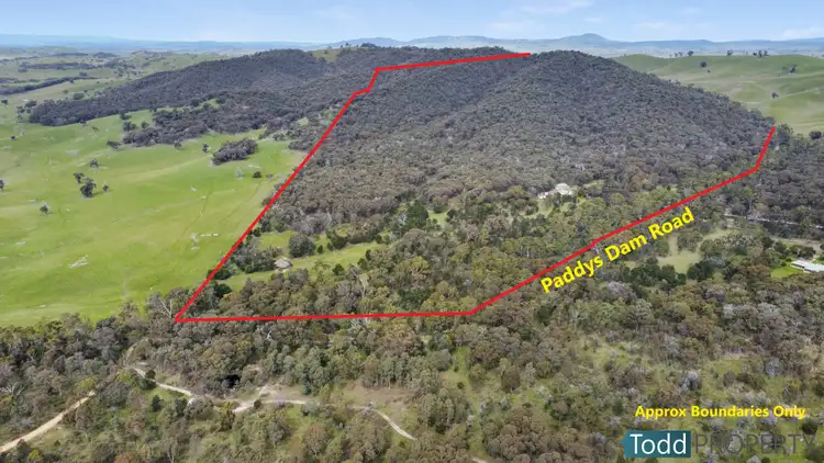 Fourth view of Homely rural property listing, 330 Paddys Dam Road, Tooborac VIC 3522
