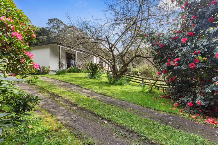 Second view of Homely house listing, 775 Barham River Road, Apollo Bay VIC 3233