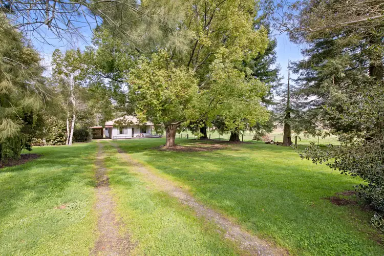 Fifth view of Homely rural property listing, 32 O'Connell Road, Mitta Mitta VIC 3701