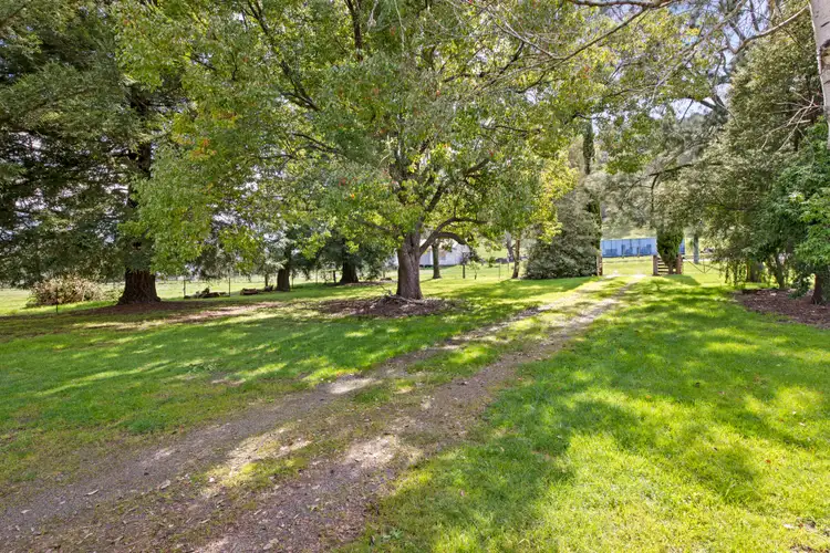 Sixth view of Homely rural property listing, 32 O'Connell Road, Mitta Mitta VIC 3701