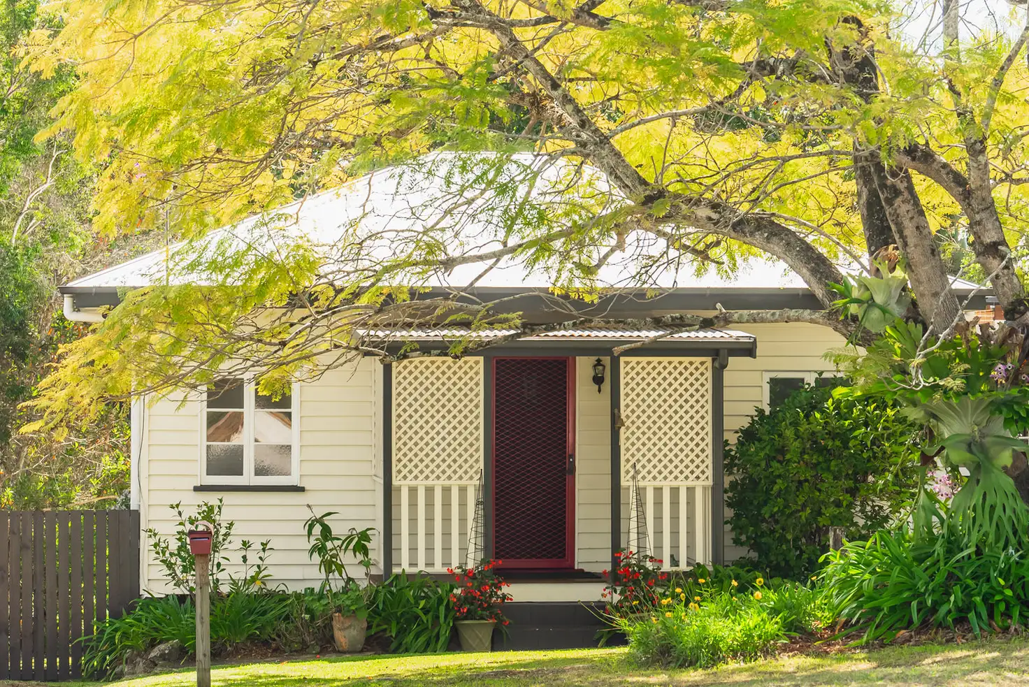 Main view of Homely house listing, 37 Blackall Street, Woombye QLD 4559