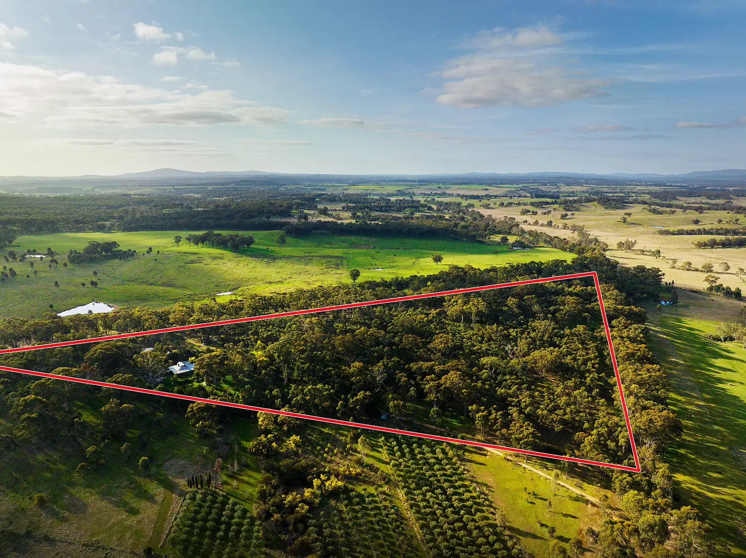 Main view of Homely house listing, 89 Molloys Lane, Yandoit VIC 3461