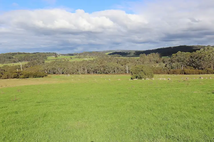 Main view of Homely rural property listing, 38 SETTLERS BOUNDARY ROAD, Tingledale WA 6333
