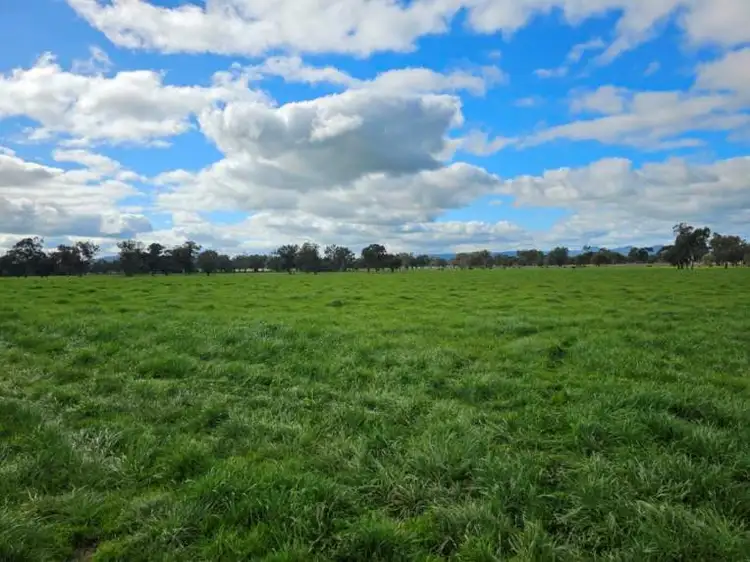 LOT 1, DP 219113 Klinberg Road, Jindera NSW 2642