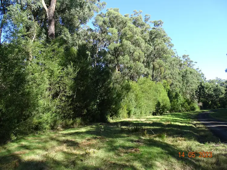 Main view of Homely rural property listing, 450 Morris Track, Lavers Hill VIC 3238