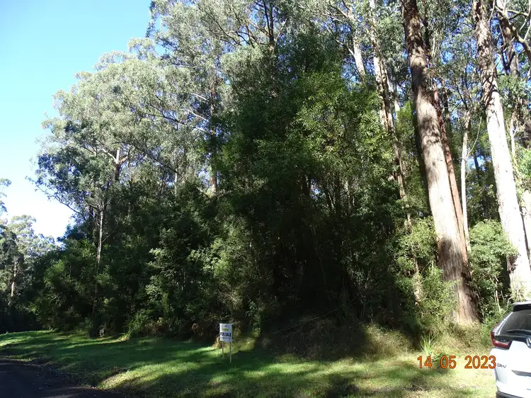 Third view of Homely rural property listing, 450 Morris Track, Lavers Hill VIC 3238