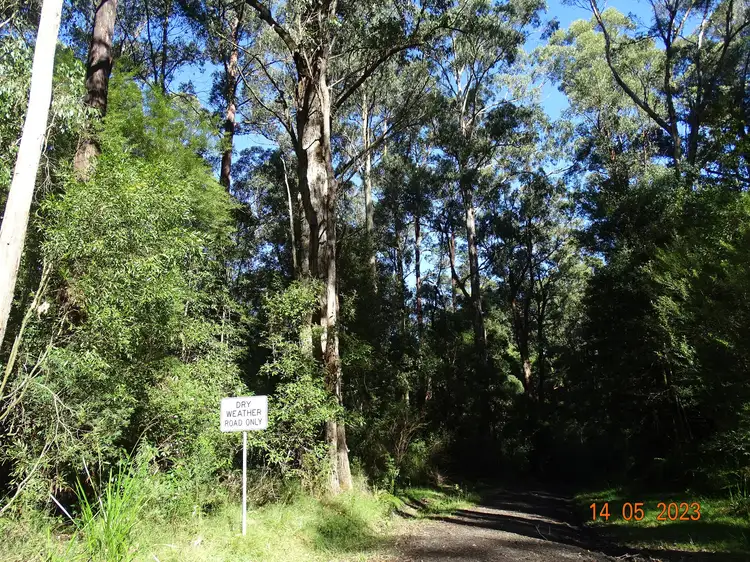 Fourth view of Homely rural property listing, 450 Morris Track, Lavers Hill VIC 3238