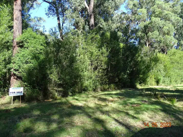 Sixth view of Homely rural property listing, 450 Morris Track, Lavers Hill VIC 3238