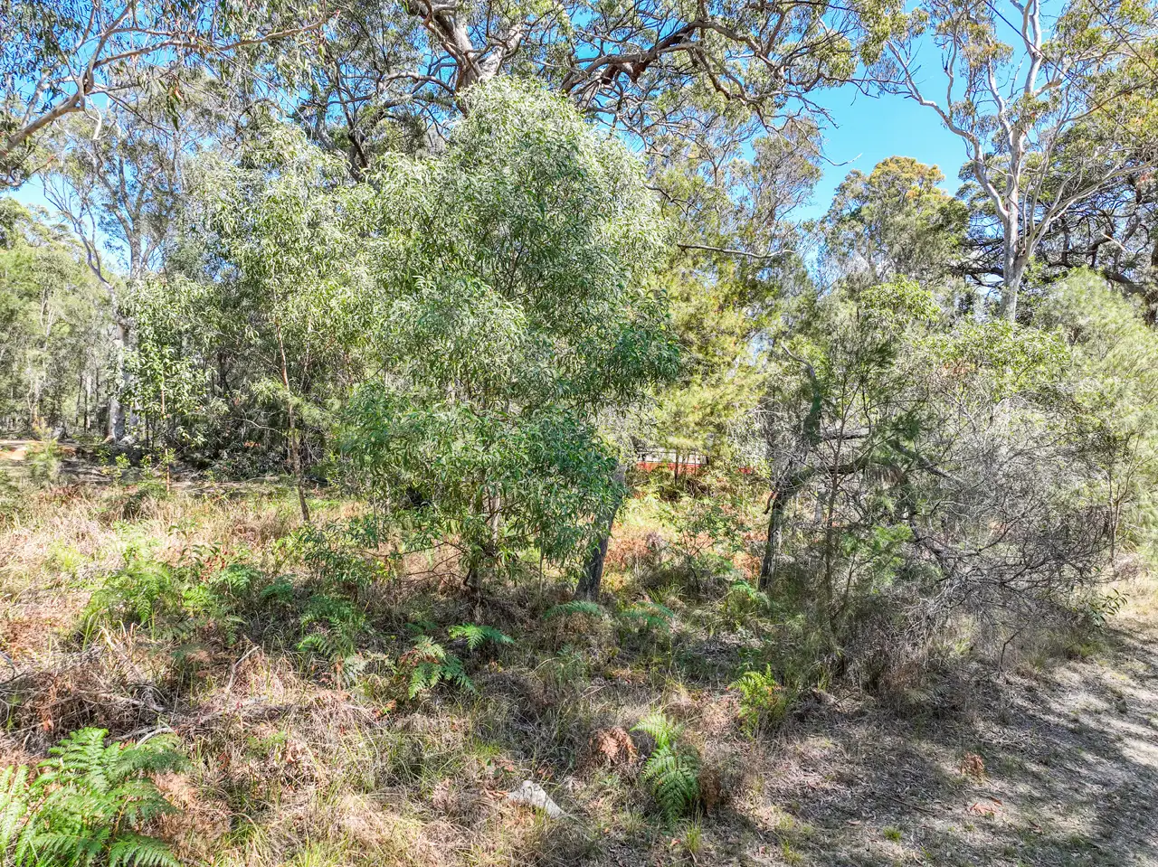 Main view of Homely land listing, 22 Falconhurst Road, Russell Island QLD 4184