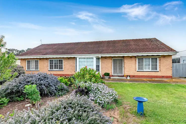 Main view of Homely house listing, 41 Doecke Road, Murray Bridge SA 5253
