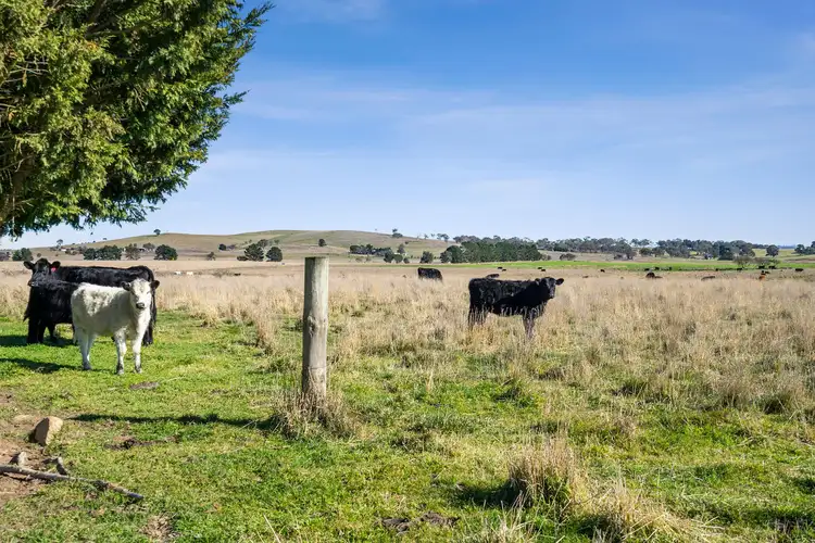 Fifth view of Homely rural property listing, 1156 Gurrundah Road, Parkesbourne NSW 2580