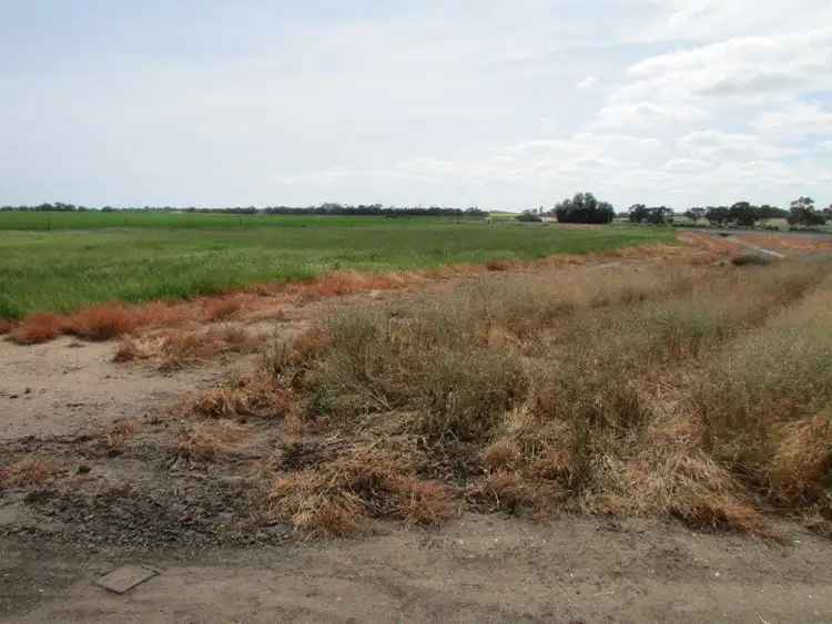 Fourth view of Homely land listing, 5 LIVINGSTON STREET, Jeparit VIC 3423