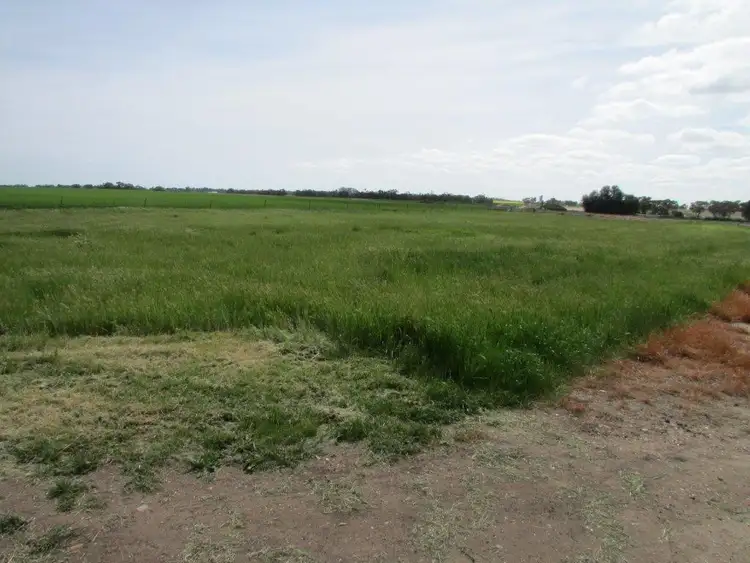 Fifth view of Homely land listing, 5 LIVINGSTON STREET, Jeparit VIC 3423