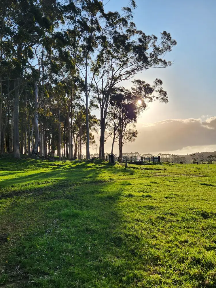 Fourth view of Homely rural property listing, 577 Hazelvale Road, Hazelvale WA 6333