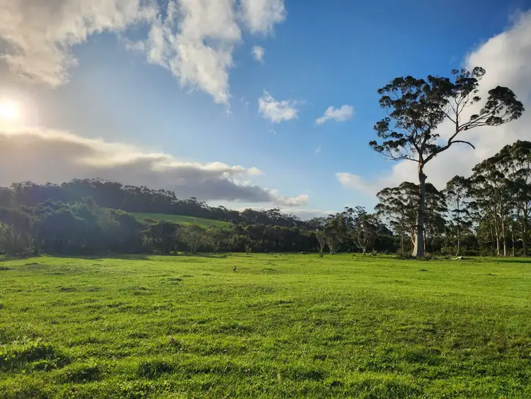 Fifth view of Homely rural property listing, 577 Hazelvale Road, Hazelvale WA 6333