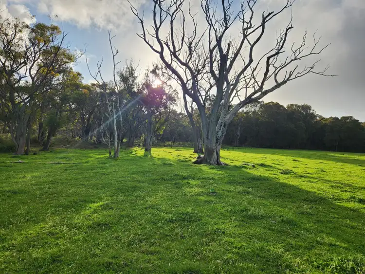 Sixth view of Homely rural property listing, 577 Hazelvale Road, Hazelvale WA 6333