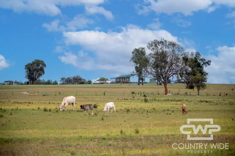 1461 Atholwood Road, Bonshaw NSW 2361