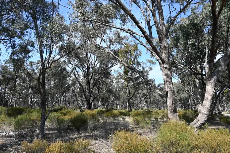 Main view of Homely rural property listing, LOT 17, A KURTING KINGOWER ROAD, Kingower VIC 3517