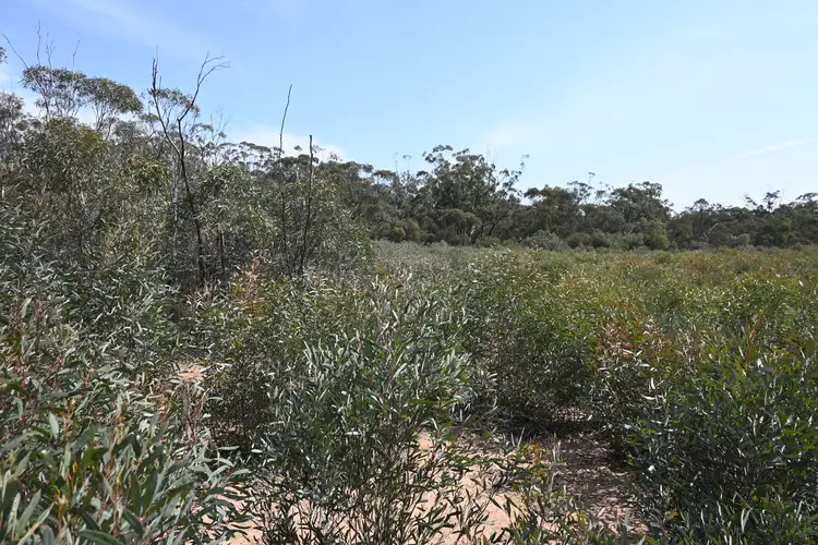 Third view of Homely rural property listing, LOT 17, A KURTING KINGOWER ROAD, Kingower VIC 3517