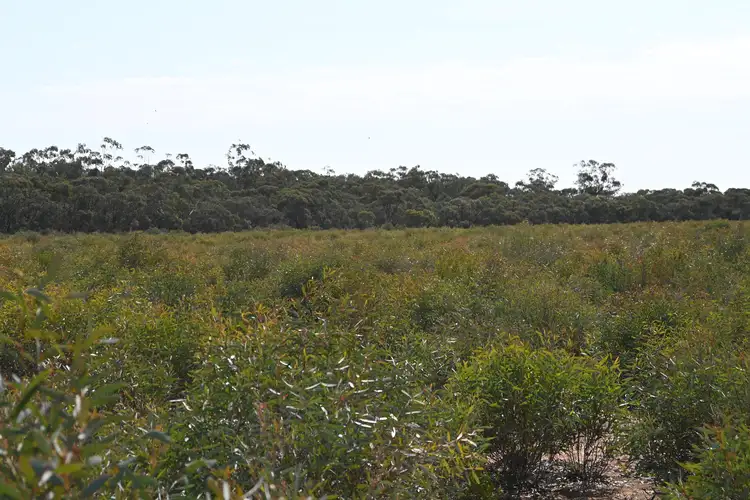 Fourth view of Homely rural property listing, LOT 17, A KURTING KINGOWER ROAD, Kingower VIC 3517