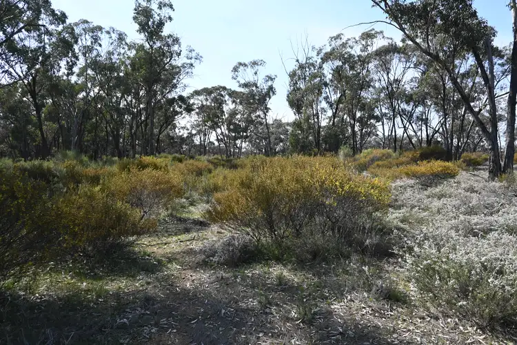 Fifth view of Homely rural property listing, LOT 17, A KURTING KINGOWER ROAD, Kingower VIC 3517