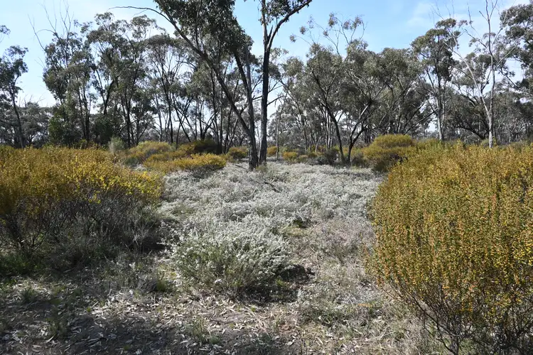 Sixth view of Homely rural property listing, LOT 17, A KURTING KINGOWER ROAD, Kingower VIC 3517