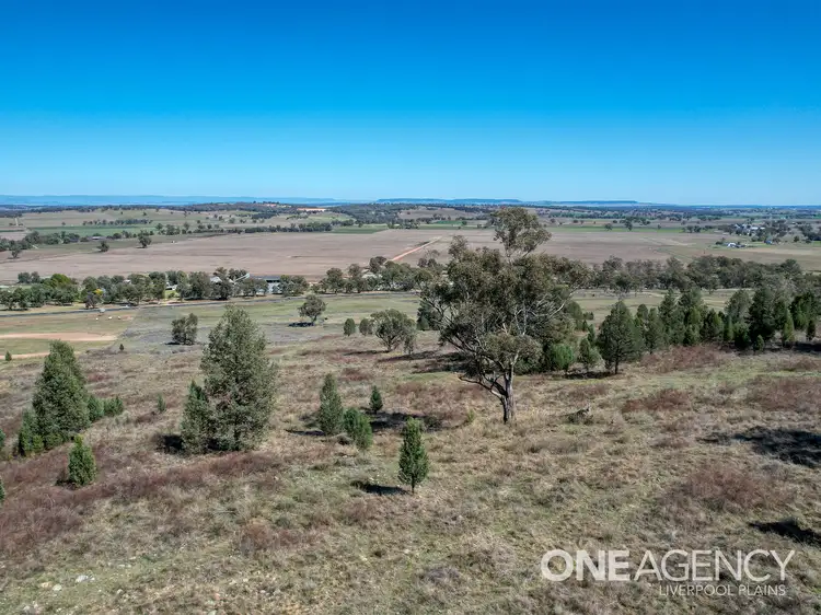 Seventh view of Homely land listing, 1688 Kamilaroi Highway, Quirindi NSW 2343