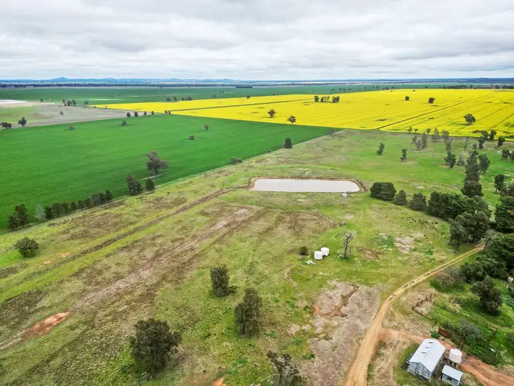 Fifth view of Homely rural property listing, 594 Burrangong Lane, Bland NSW 2721