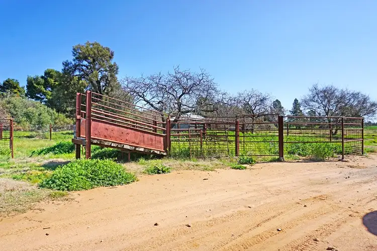 Seventh view of Homely rural property listing, 594 Burrangong Lane, Bland NSW 2721
