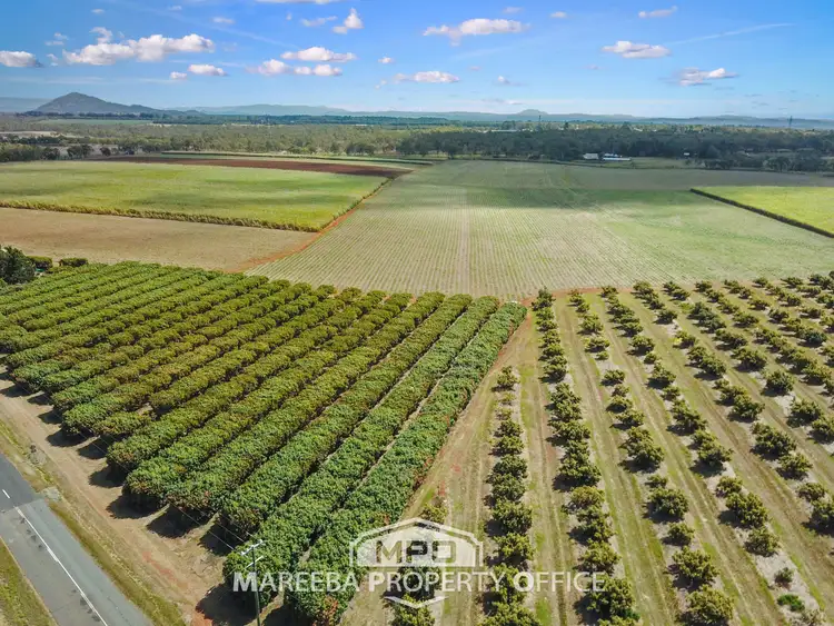 Second view of Homely rural property listing, 292 & 340 Channel Road, Walkamin QLD 4872