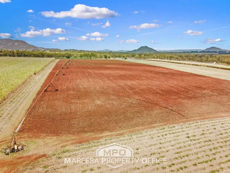 Fourth view of Homely rural property listing, 292 & 340 Channel Road, Walkamin QLD 4872