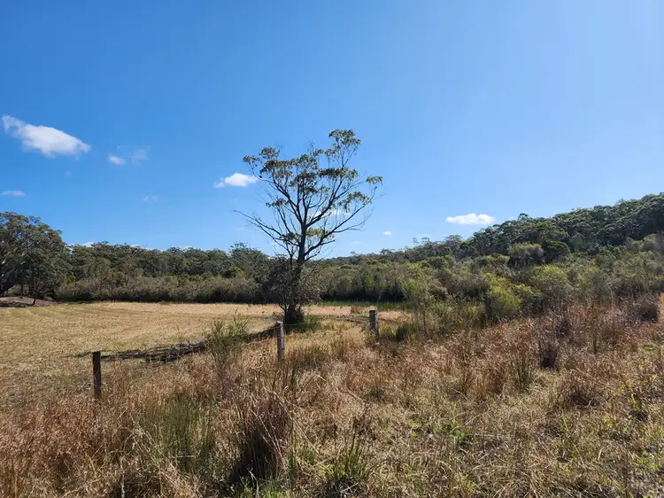 Fifth view of Homely rural property listing, LOT 16, lot 16 Advance Road, Sussex Inlet NSW 2540