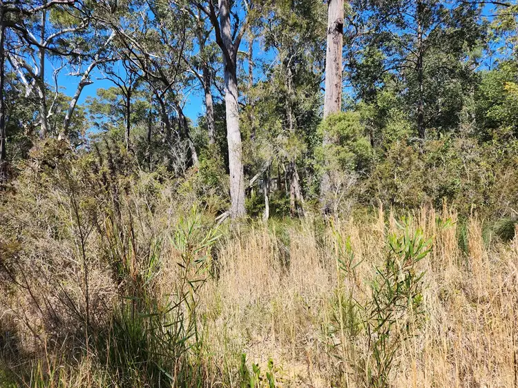 Seventh view of Homely rural property listing, LOT 16, lot 16 Advance Road, Sussex Inlet NSW 2540