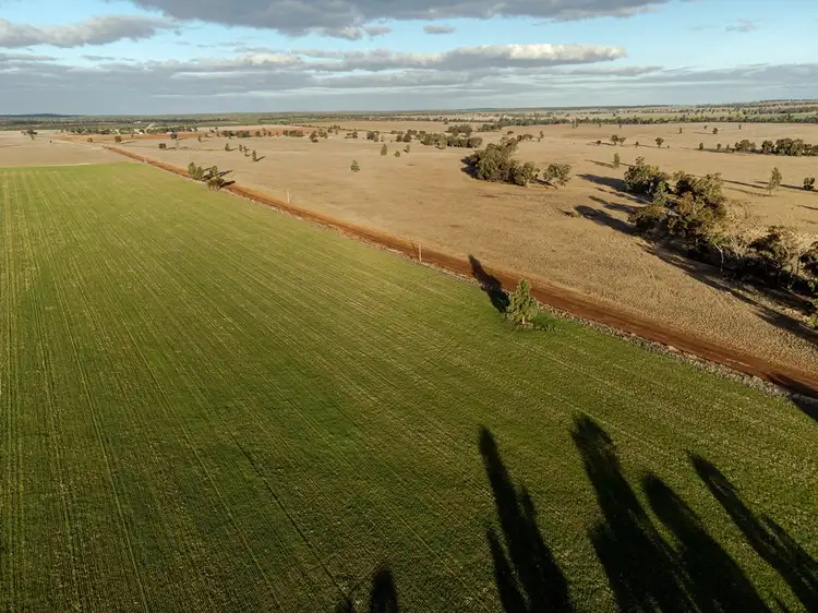 Second view of Homely rural property listing, 465 Quilties Corner Road, Buddigower, West Wyalong NSW 2671