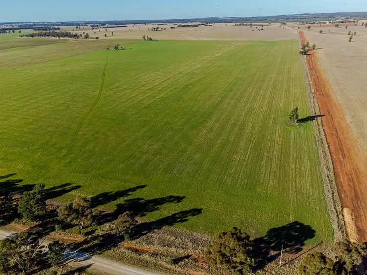 Third view of Homely rural property listing, 465 Quilties Corner Road, Buddigower, West Wyalong NSW 2671