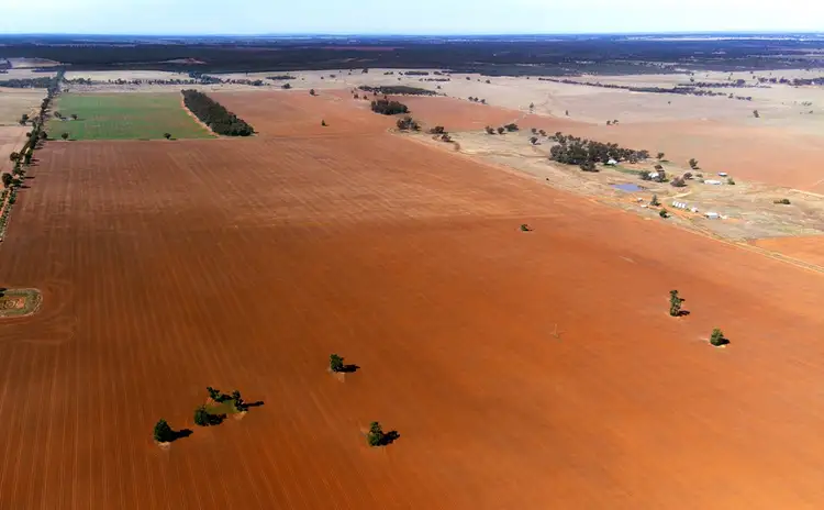 Fourth view of Homely rural property listing, 465 Quilties Corner Road, Buddigower, West Wyalong NSW 2671