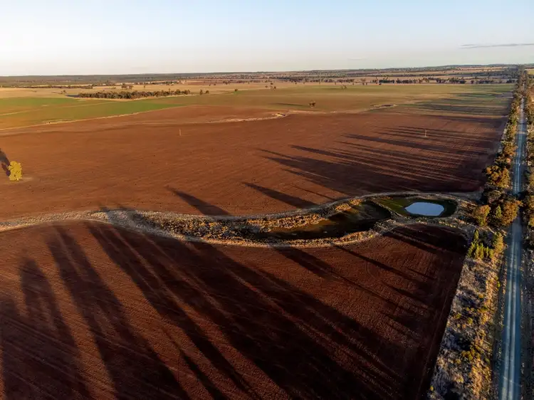 Sixth view of Homely rural property listing, 465 Quilties Corner Road, Buddigower, West Wyalong NSW 2671