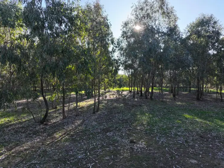 Fifth view of Homely rural property listing, Langley Lane, Mcintyre VIC 3472