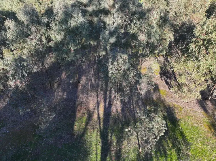 Sixth view of Homely rural property listing, Langley Lane, Mcintyre VIC 3472