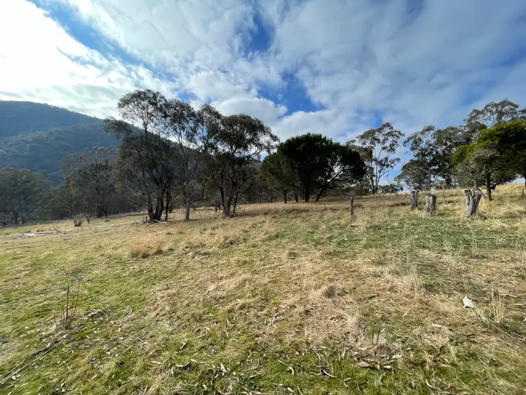 Fifth view of Homely rural property listing, 2395 Mckillops Road, Tubbut VIC 3888