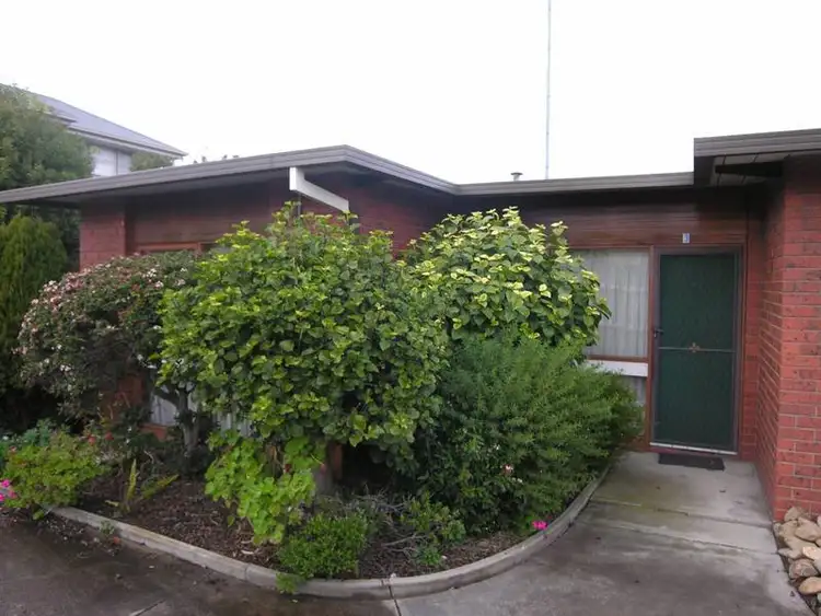 Second view of Homely unit listing, 3/48 Mundy Street, South Geelong VIC 3220