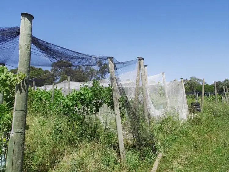 Fifth view of Homely house listing, 90 Glenoe Drive, Lara VIC 3212