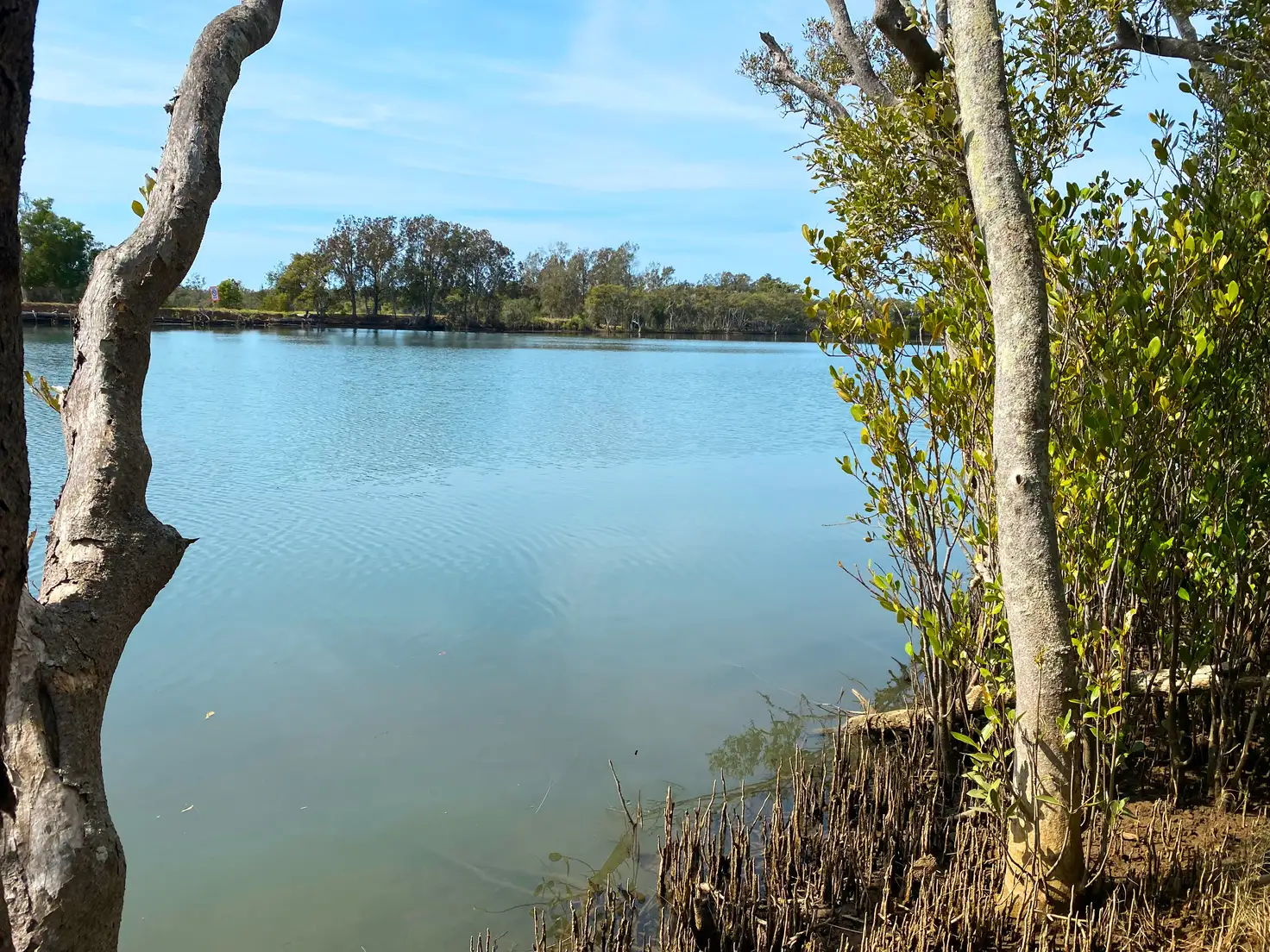 Main view of Homely rural property listing, LOT 11 DP 1011397, 18444 Pacific Highway, Jones Island NSW 2430