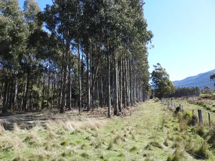 Third view of Homely rural property listing, Tubbs Road, Blackwood Creek TAS 7301